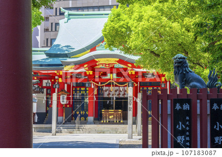 御霊神社 本殿と青銅狛犬(大阪市中央区淡路町) 御霊神社 本殿と青銅狛犬(大阪市中央区淡路町) 107183087