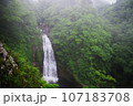 霧に包まれた幻想的な滝 107183708
