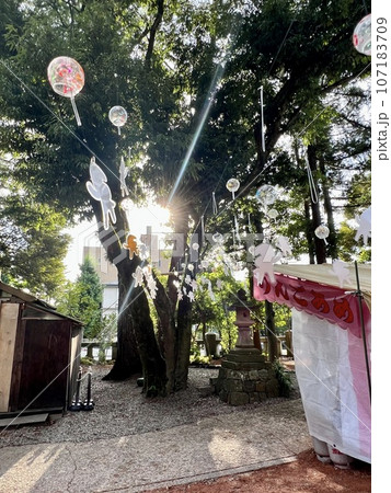 金沢石浦神社の神秘的な風景 107183709