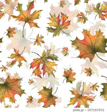 Autumn orange maple leaves fall. Hand drawn watercolor illustration. Seamless pattern on a white background 107187052
