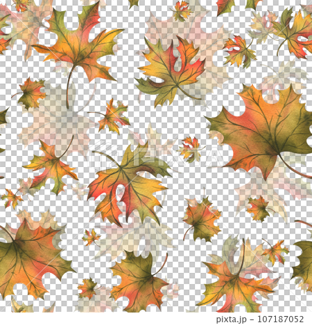 Autumn orange maple leaves fall. Hand drawn watercolor illustration. Seamless pattern on a white background 107187052