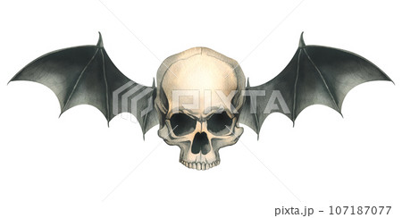 Front view human skull with black bat wings forのイラスト素材