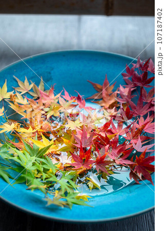 二尊院の秋、御園亭の縁側に飾られた紅葉の皿 107187402