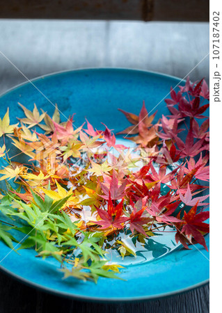 二尊院の秋、御園亭の縁側に飾られた紅葉の皿 二尊院の秋、御園亭の縁側に飾られた紅葉の皿 107187402