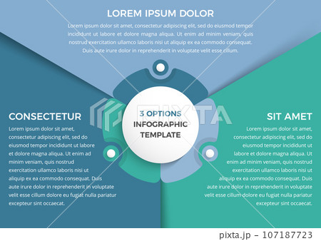 Infographic Template with 3 Options Infographic Template with 3 Options 107187723