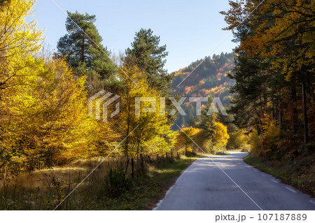Golden magic autumn colorful trees and road 107187889