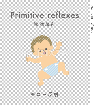 イラスト素材: 原始反射 モロー反射 107187975
