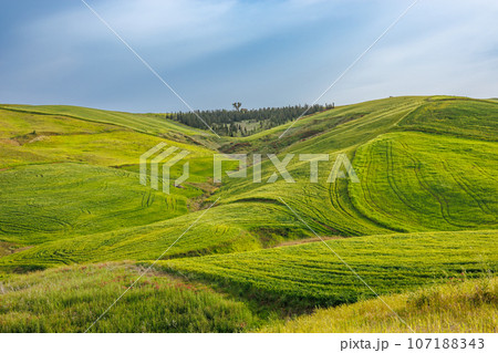 Landscape with pastures in the mountains in the west of the island of Sicily Landscape with pastures in the mountains in the west of the island of Sicily 107188343