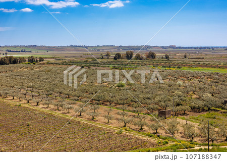 Nature near Castelvetrano in western Sicily 107188347