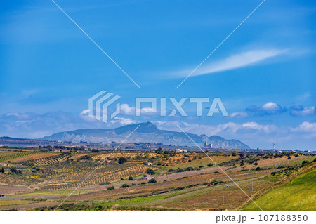 Nature near Castelvetrano in western Sicily 107188350