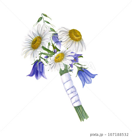 White daisies, bluebells, wild oats with white satin ribbon. Floral wedding bouquet or lovely boutonniere. Watercolor illustration isolated on white. Watercolor illustration for wedding stationary 107188532