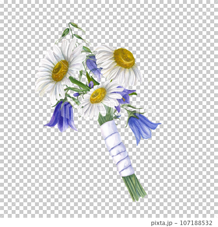 White daisies, bluebells, wild oats with white satin ribbon. Floral wedding bouquet or lovely boutonniere. Watercolor illustration isolated on white. Watercolor illustration for wedding stationary 107188532
