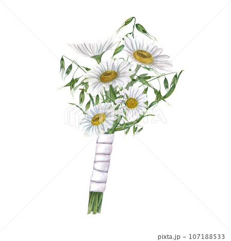 Bouquet of white meadow daisies with wild herbs. Flowers for wedding in rustic style. Boutonniere, bride, groom, engagement. Watercolor illustration for wedding stationary, invitation 107188533