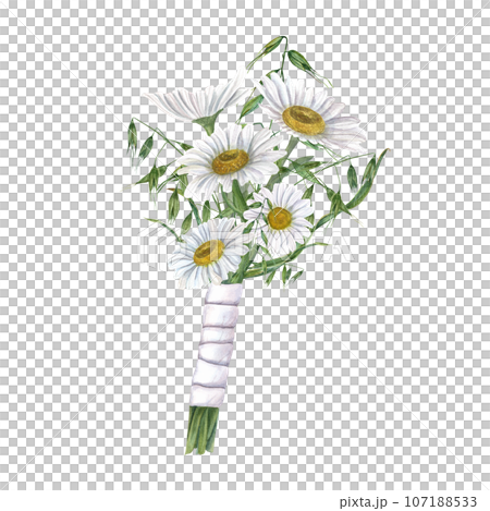 Bouquet of white meadow daisies with wild herbs. Flowers for wedding in rustic style. Boutonniere, bride, groom, engagement. Watercolor illustration for wedding stationary, invitation 107188533