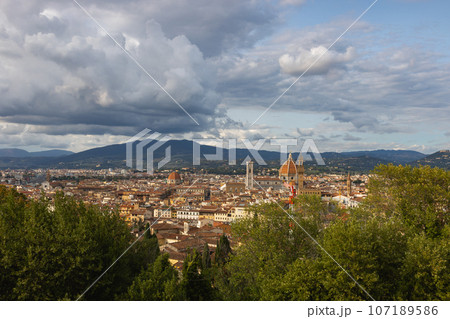 View of the city of Florence from the Forte di Belvedere, Italy 107189586