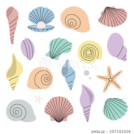 Scallop sea shells. Tropical underwater shells. Freshwater algae, corals, starfish, sea mollusks, scallop, pearls. Vector illustration. 107191026