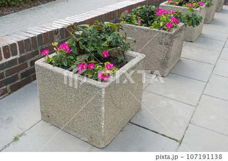 Road Flower Pot, Street Bed, Modern City Floristry, Urban Flowerbeds Design, City Flowers Landscaping 107191138