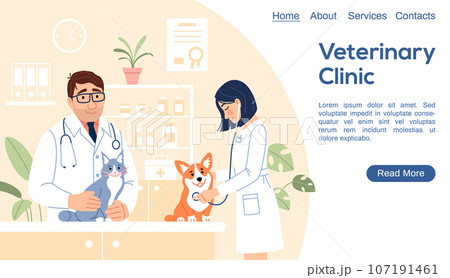 Veterinary clinic landing page. Young veterinarians with dog and cat doing veterinary exam website template. Cute animal diagnostics internet homepage design Flat line pet medicine vector illustration 107191461