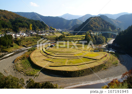 あらぎ島 107191945