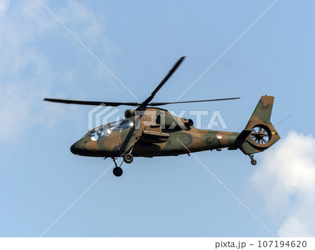 八尾空港上空を飛ぶ陸上自衛隊のOH-1 107194620