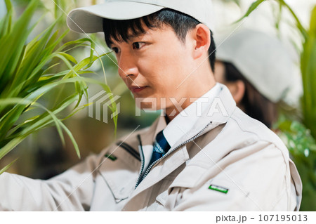 バイオ研究する技術者 107195013