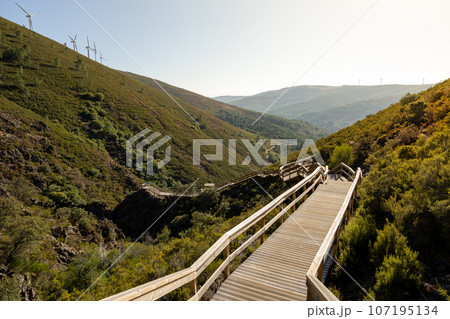 Walkways of Ribeira de Quelhas Walkways of Ribeira de Quelhas 107195134