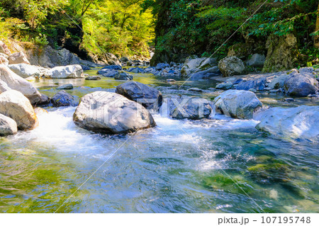 青海川ヒスイ峡4 青海川ヒスイ峡4 107195748