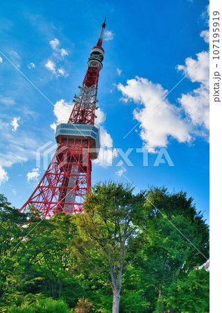 快晴 夏の青空と東京タワーの風景 107195919