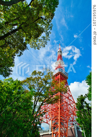 快晴 夏の青空と東京タワーの風景 107195976