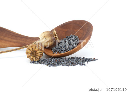 Heap of poppy seeds and dried pod isolated on white Heap of poppy seeds and dried pod isolated on white 107196119