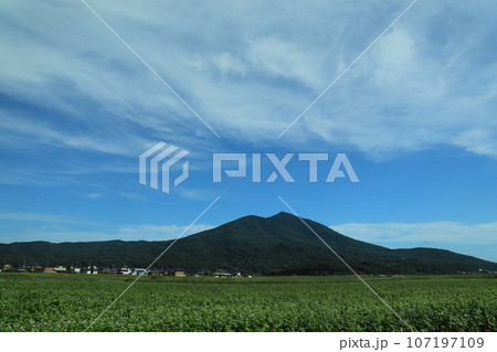 秋そば畑と筑波山 秋そば畑と筑波山 107197109