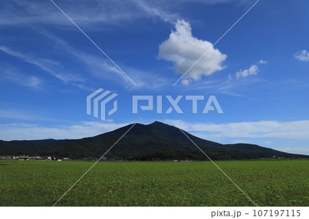 秋そば畑と筑波山 秋そば畑と筑波山 107197115