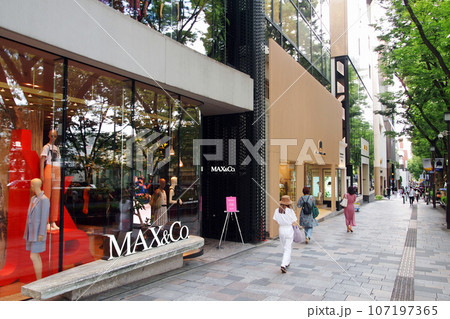 表参道の街並み 表参道の街並み 107197365