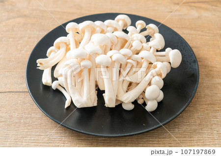 white beech mushroom or white reishi mushroom 107197869