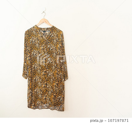 beautiful leopard print shirt hanging on wall 107197871