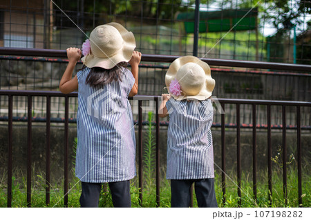 初めての動物園を楽しむ姉妹 初めての動物園を楽しむ姉妹 107198282