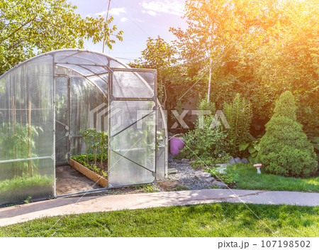 arched small greenhouse on private backyard with sun flare arched small greenhouse on private backyard with sun flare 107198502