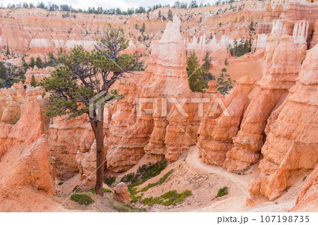 Bryce Canyon National Park at daytime in Utah, USA 107198735