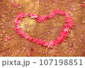 もみじの葉で作ったハート 107198851
