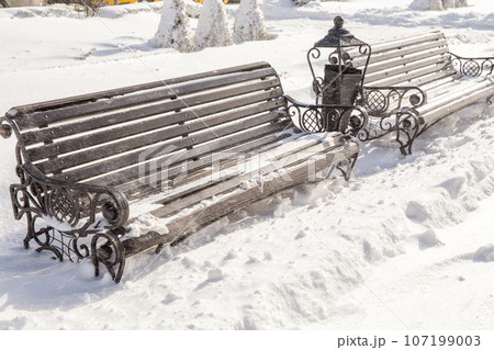 Bench in a park 107199003