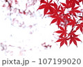 タイトルスペースのある紅葉 107199020