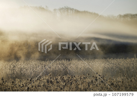 朝日を受けて輝く気嵐 107199579