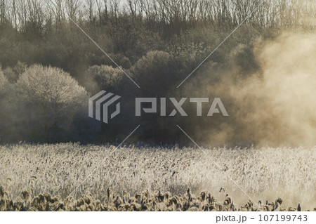 早朝の霧氷と気嵐 107199743