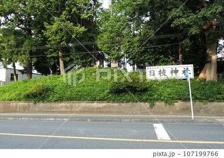 日枝神社（仙波日枝神社）の墳丘【埼玉県川越市】 107199766