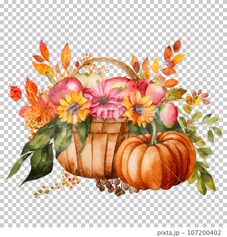Colorful pumpkins in a basket, hand drawn watercolor illustration Colorful pumpkins in a basket, hand drawn watercolor illustration 107200402