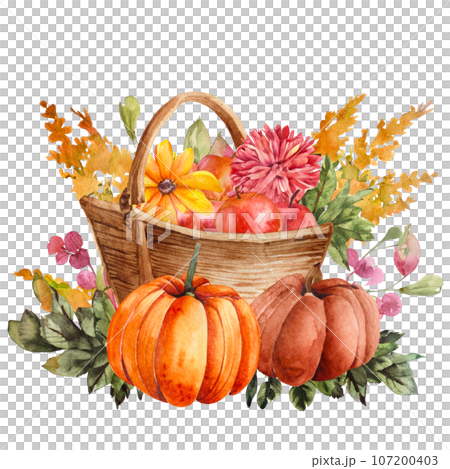 Pumpkins in a basket, hand drawn watercolor illustration Pumpkins in a basket, hand drawn watercolor illustration 107200403