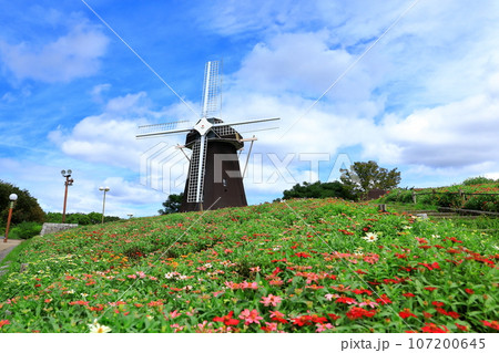 鶴見緑地公園　風車の丘 107200645