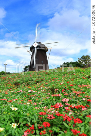 鶴見緑地公園 風車の丘 鶴見緑地公園 風車の丘 107200646