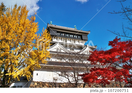 紅葉に映える天守閣 紅葉に映える天守閣 107200751