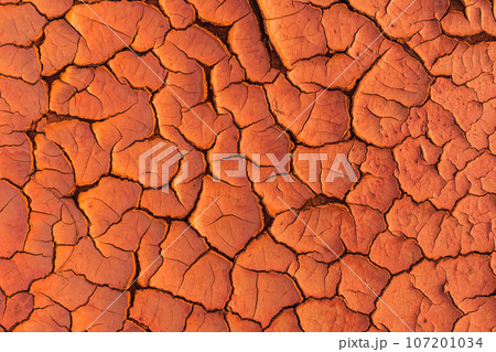 The surface of the land is cracked. Crack soil ground texture. The surface of the land is cracked. Crack soil ground texture. 107201034